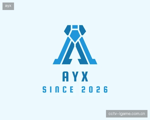 解读ayx团队